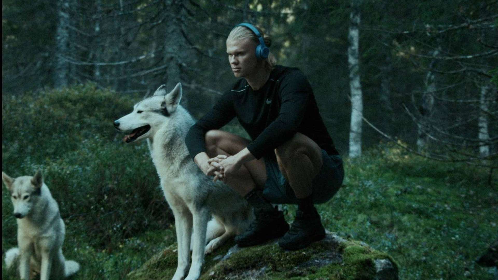 曼城无疑是 曼城无疑是